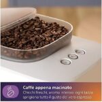 ASSET_MMS_172741767-3